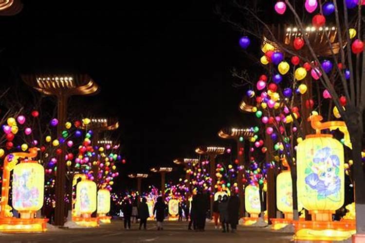 2022年成都樱花什么时候开 成都樱花在哪里看