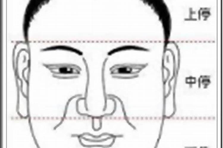 梦见蛇咬我的手臂的预兆