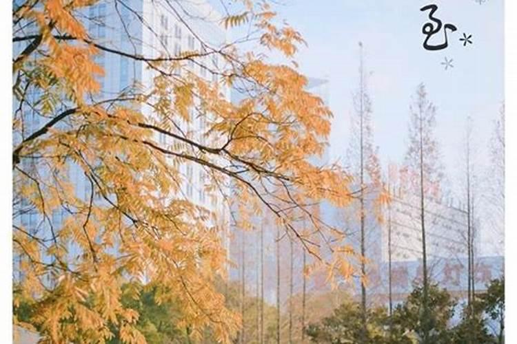 太岁符正确画法