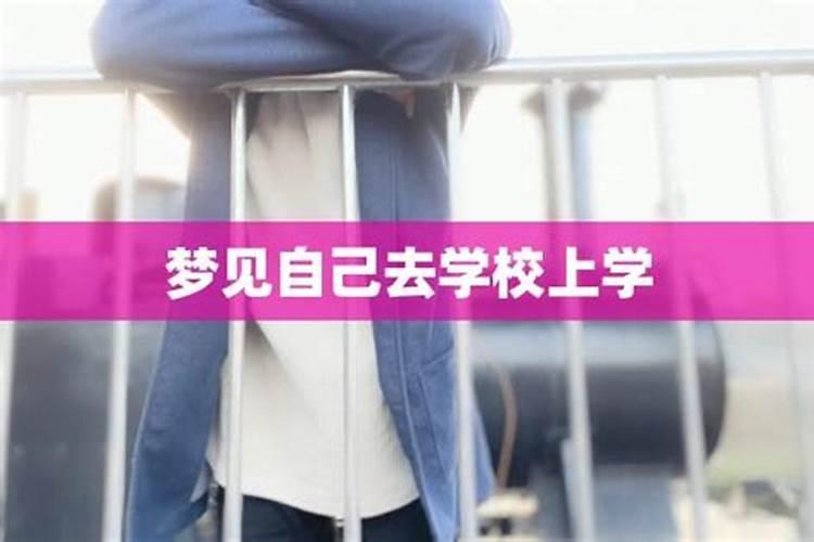 梦到回到学校上学预示着什么？