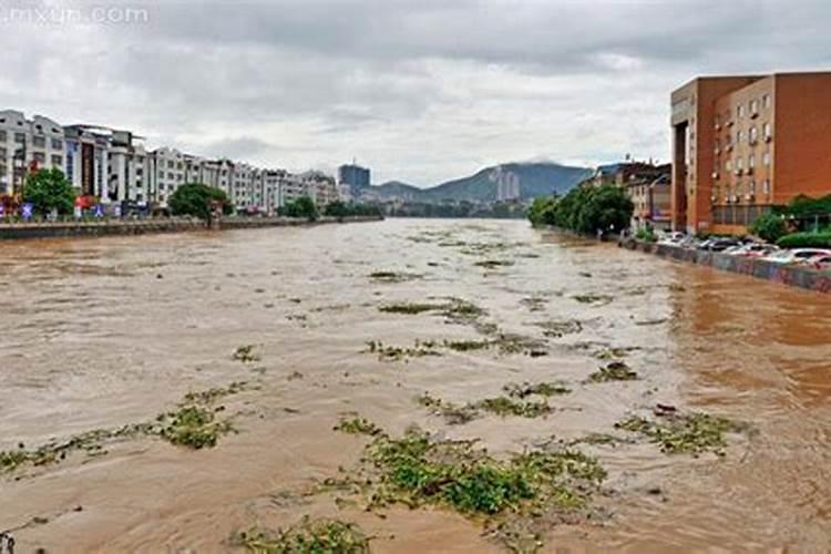 银河发大水打一生肖