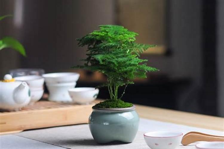 太岁怎么拜,什么时候拜？