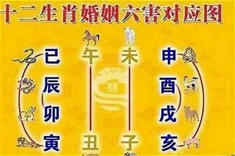 婚配属相六相合是什么意思