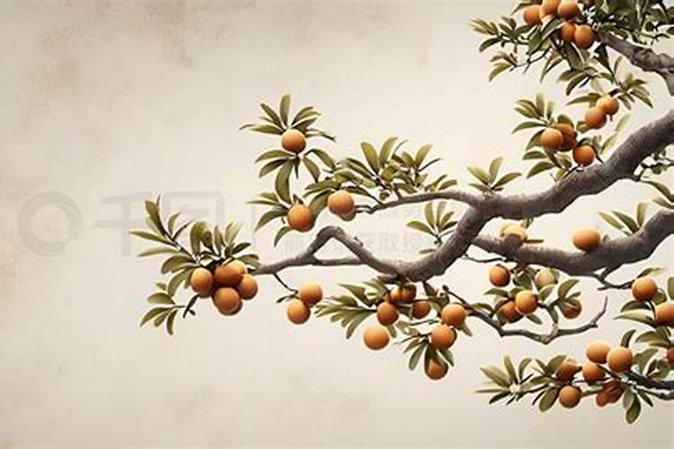 梦见树上好多龙眼的预兆