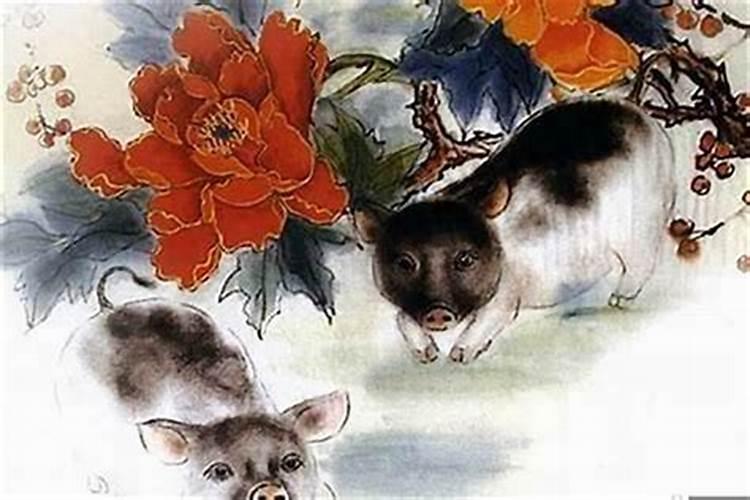 1983属猪的婚姻和命运如何,属猪的1983年7月15日一生命运婚姻如百度知 ...