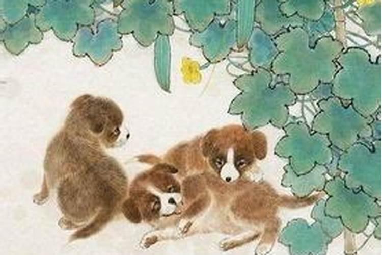 2024属狗的贵人和小人