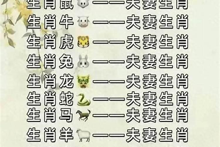 男女12属相婚配表最准的12生肖最佳夫妻配对