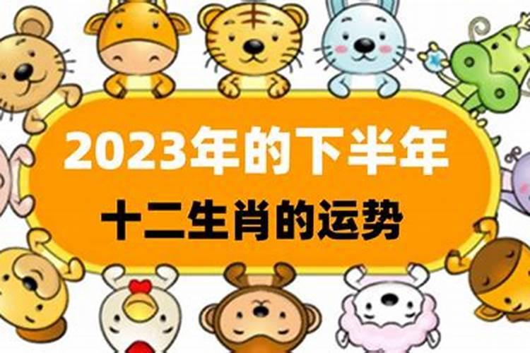 2025年6月5日12生肖运势