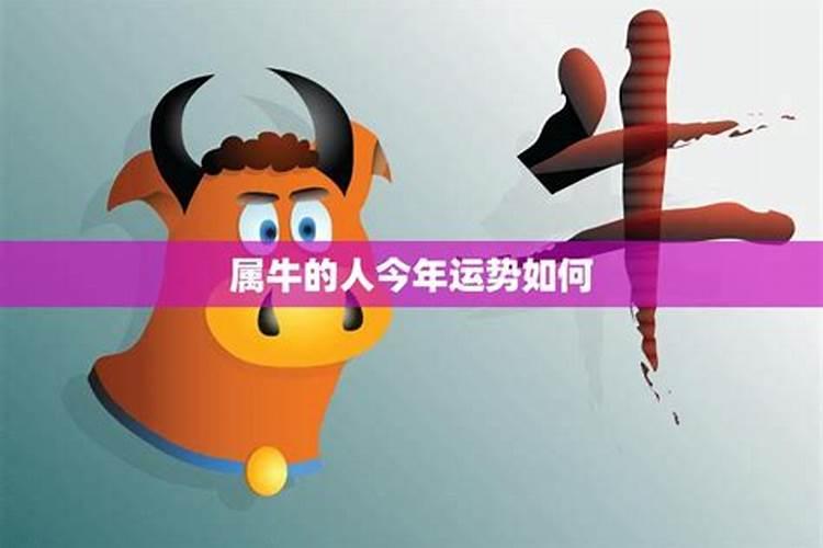 1997属牛2025年运势运程如何