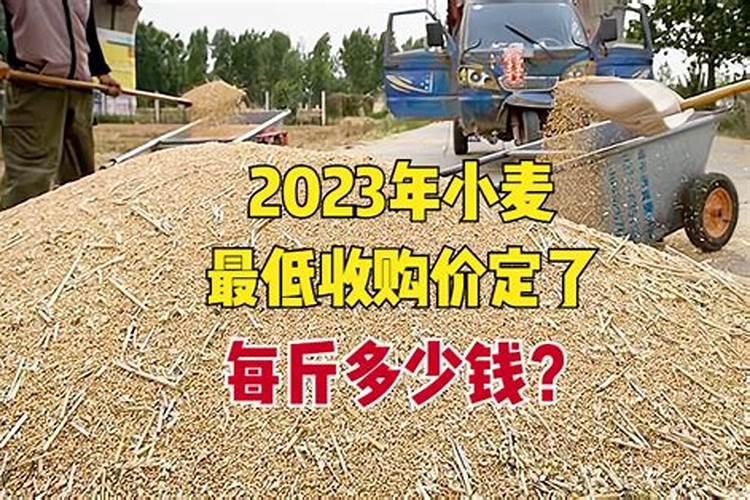 91年农历11月14日卯时出生的男的属什么？运程如何？详细点。谢谢百度...