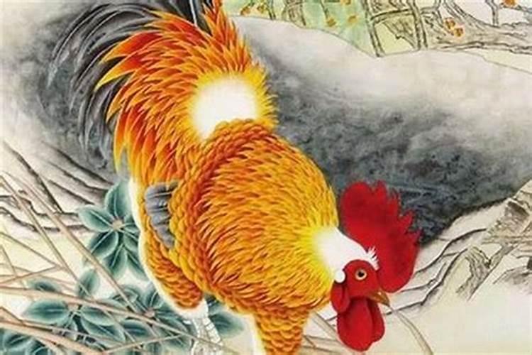 猪和鸡犯冲吗