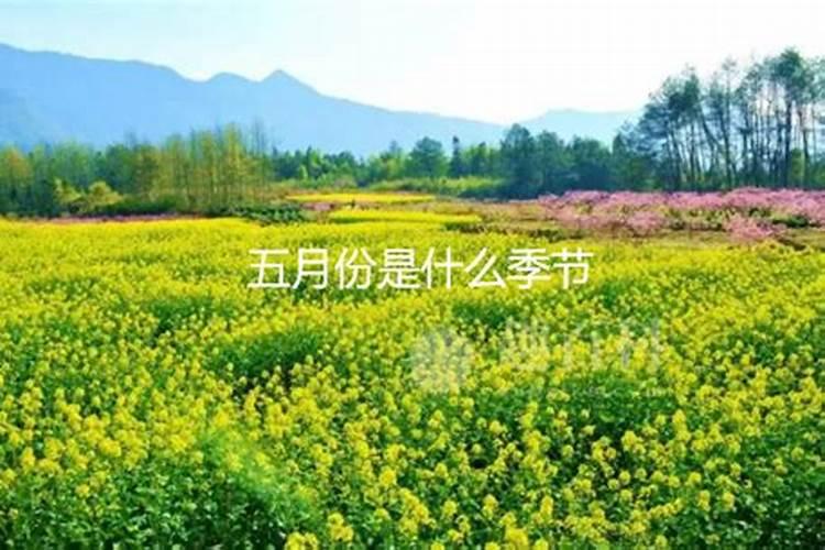 来啦!12生肖的五月运势提前看