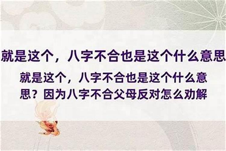 家人说生肖不合、极力反对我们在一起怎么办？我属羊、他属虎