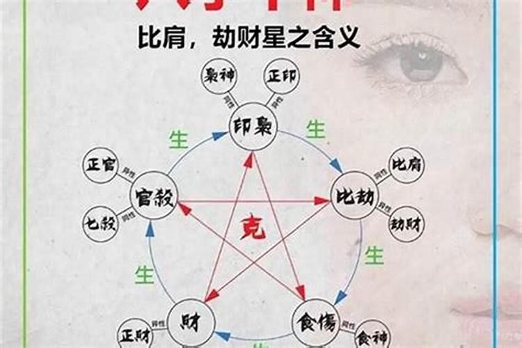 生肖猪1995年2025年运势如何 生肖猪1995年2025年全年运势