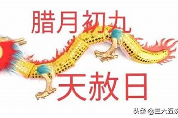 孙毅的人物生平