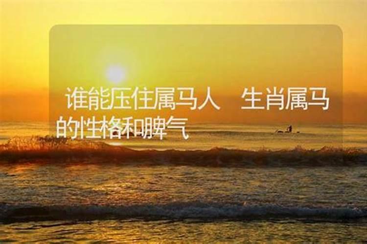 1978年属马2020年运势运程如何