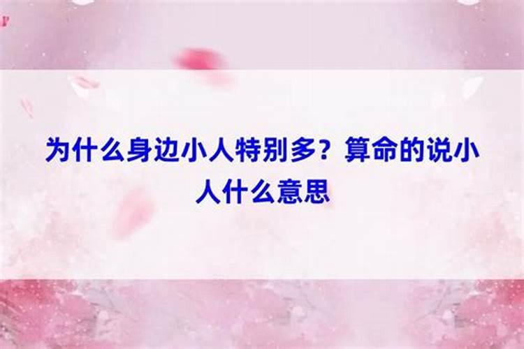 1993年属鸡2024年运势