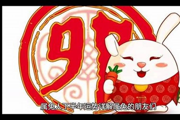 2025属兔人全年12个月运势如何
