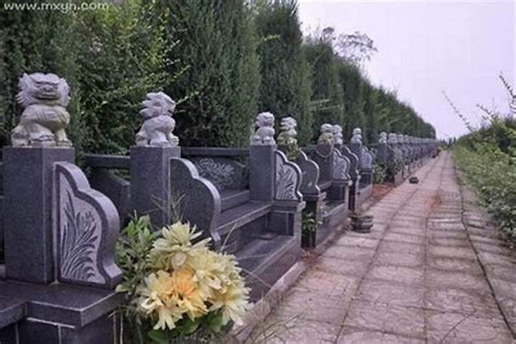 女人梦到墓地好不好