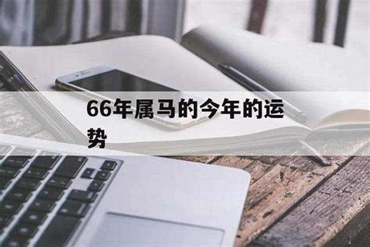 2025年66年男马感情