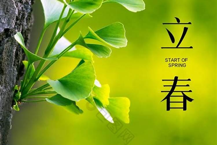 2025年立春是什么时候