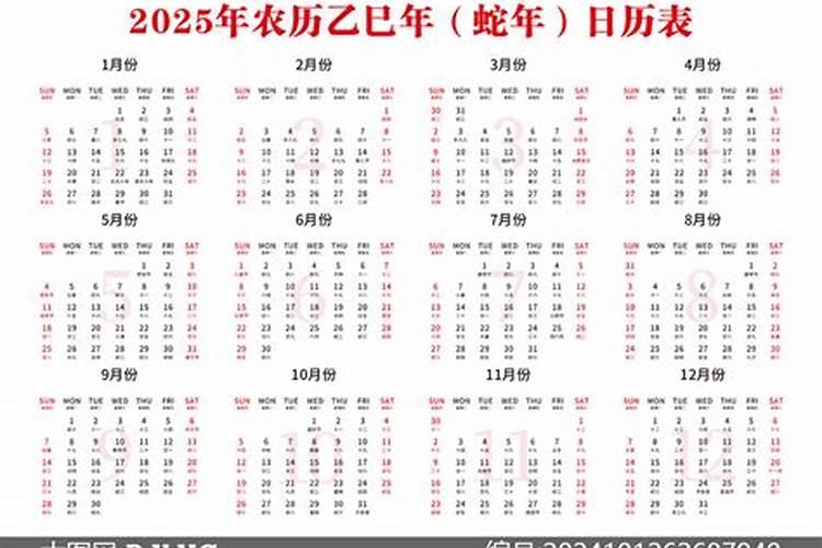 梦见老鼠追着我