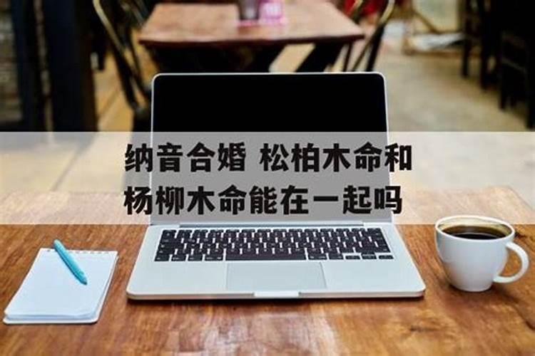2025年除夕是二十九还是三十