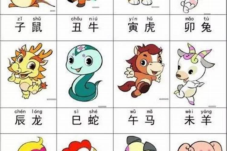 十二个生肖具体代号表,一定要详细的
