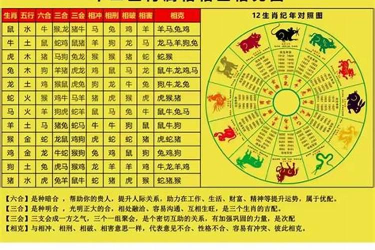 十二生肖各代表什么官