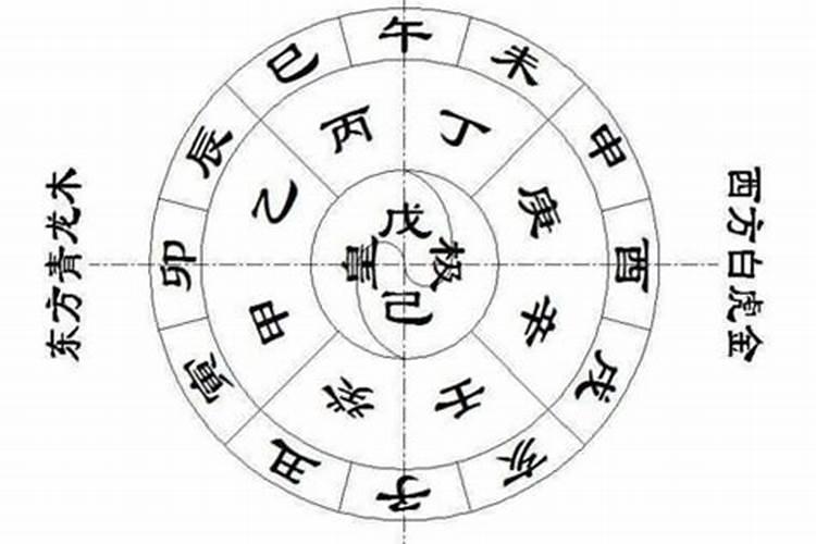 什么是青龙命