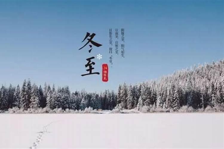 1995农历十一月初八是什么日柱呢