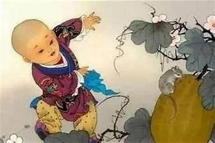 1984年属鼠的女人一生命运 1984年属鼠女一生会有几次婚姻