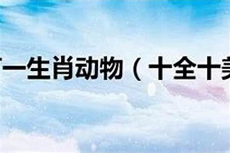 九月份易遭小人的生肖