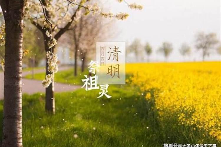 清明节必须回家祭祖吗