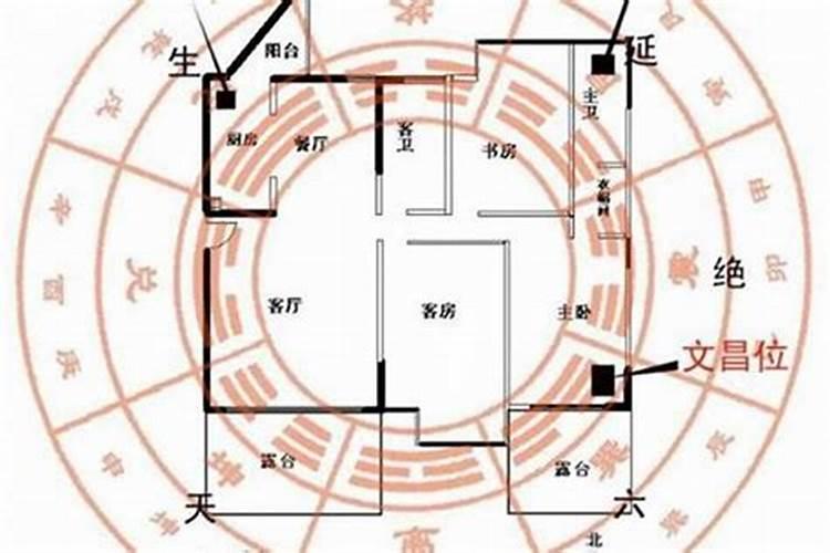 风水上用什么颜色钱包好