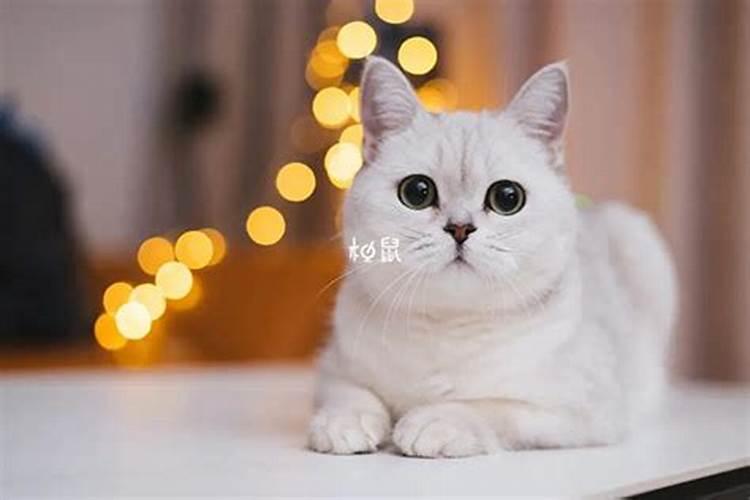 中国农历有那几个鬼节的？分别是在那天的？