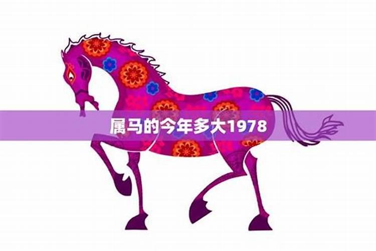 1978年马2025运势及运程