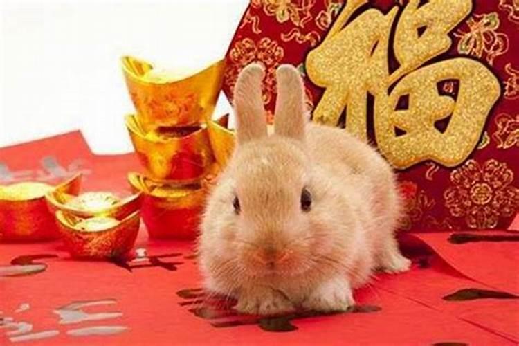 乙卯年是哪一年,命运如何？
