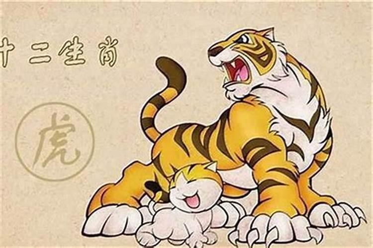 98年跟98年在一起好不好,98年2个属虎的在一起合适吗？