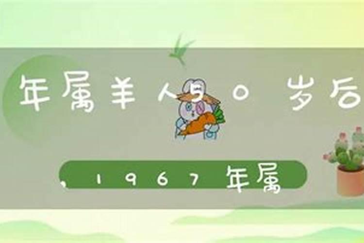 羊年出生的人2024年运势及运程(67年属羊56岁命中注定2024)