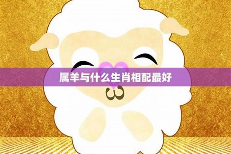 属羊的和属鼠的合不合