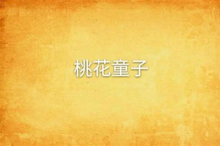 桃花童子同时在时柱代表什么意思