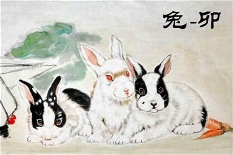 2025年犯太岁的生肖猴怎么化解 2025年犯太岁的生肖猴怎么躲星