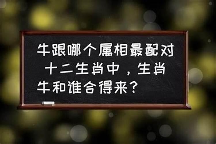 属牛婚配哪个属相最好 属牛最佳婚配前十名属相