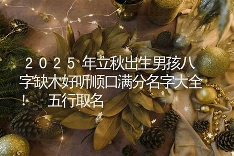 立秋出生的男孩取什么小名好立秋出生的男孩小名