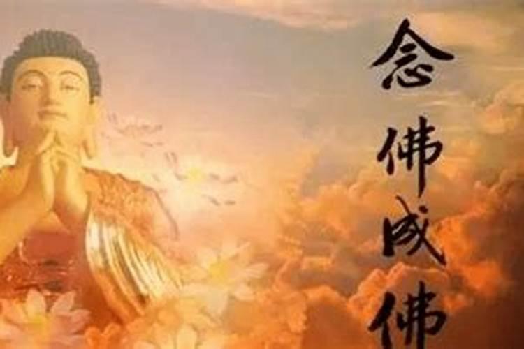 堕胎婴儿如何念佛投胎  百度宝宝知道