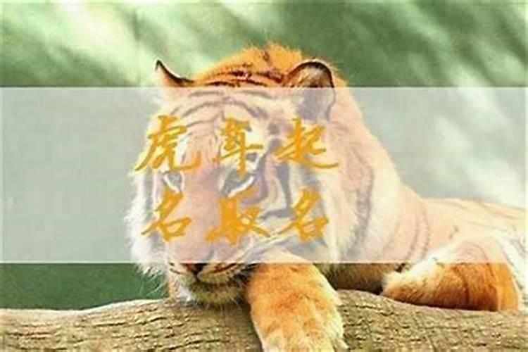 宝宝小名字男孩2025年怎么取