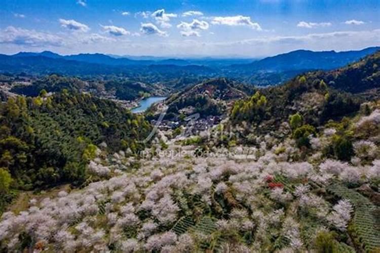 立夏节气的寓意和传统是什么？
