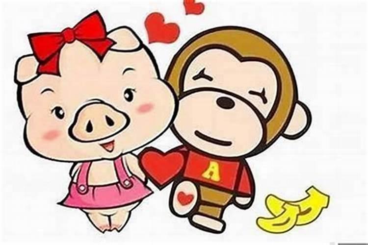 74年虎女有几次婚姻,74年属虎男和66年属马女婚姻相配吗