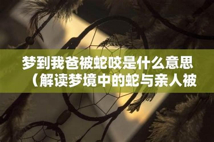 梦见三条蛇和家里老人的预兆